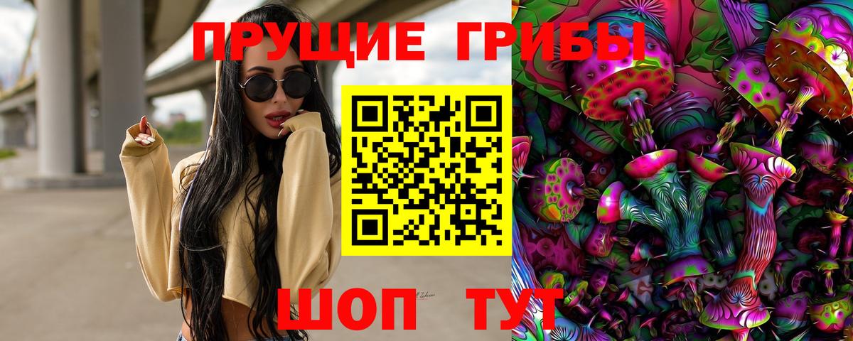 Галлюциногенные грибы Psilocybine cubensis Новошахтинск